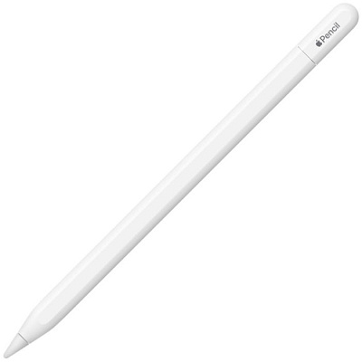 Стилус Apple Pencil (USB-C) для iPad Pro (MUWA3ZM/A)