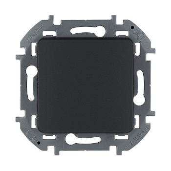 Переключатель одноклавишный Legrand Inspiria 673653 10 AX 250 В антрацит (673653)