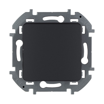 Переключатель одноклавишный Legrand Inspiria 673653 10 AX 250 В антрацит (673653)