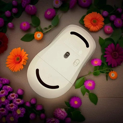 Мышь Xiaomi Dual-mode Wireless Mouse 2 White  (XMSMSB01YM-W)