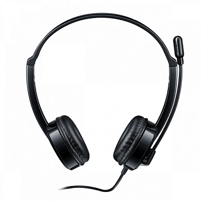 Гарнитура Rapoo H100, 2.4m, Black (18007)