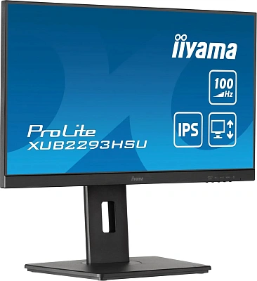 Монитор iiyama ProLite PL2293H 21.5" (XUB2293HSU-B7)