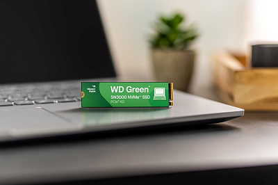 Твердотельный накопитель SSD WD GREEN SN3000 M.2 1000GB (WDS100T4G0E)