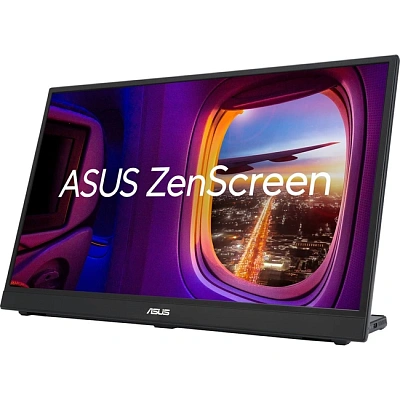 Монитор ASUS ZenScree MB17AHG (90LM08PG-B01170)
