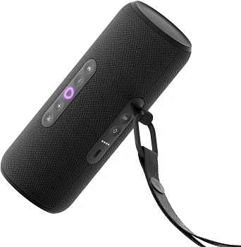 Колонка Яндекс.Станция Стрит c Алисой (2.0), Black, 30Вт Wi-Fi, BT (YNDX-00030BLK)