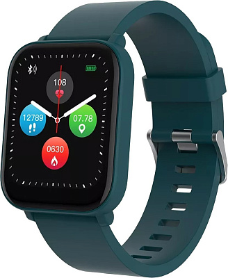 Смарт часы Canyon smart watch Easy SW-54 Green (CNS-SW54BG)