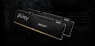 Оперативная память Kingston FURY Beast DDR5 32GB 6000MT/s - Black (KF560C36BBE2-32)