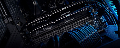 Оперативная память Kingston FURY Beast DDR5 32GB 6000MT/s - Black (KF560C36BBE2-32)