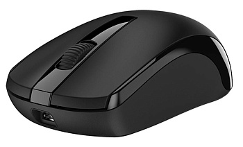Мышь Genius ECO-8100, Black, Wireless, Optical, USB (31030004400/31030010410)