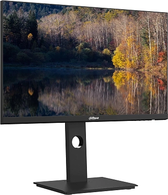 Монитор Dahua LM24-P301A 24" (DHI-LM24-P301A)