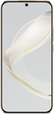 Смартфон Huawei Nova 11 FOA-LX9, 8/256GB, Gold (NOVA 11 FOA-LX9 GOLD 8/256GB)