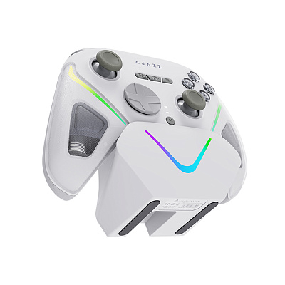 Геймпад Ajazz GP100 White (GP100/Set/White)