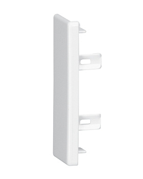 Legrand 030290 DLPLЗаглушка торц. к-к 60х20 (030290)