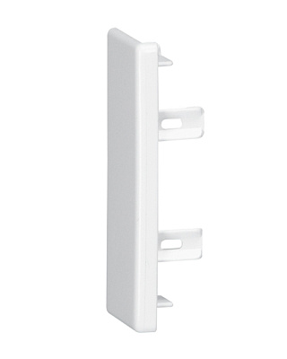 Legrand 030290 DLPLЗаглушка торц. к-к 60х20 (030290)