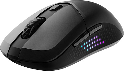 Мышь MSI Versa 300 Elite Wireless, Черный (VERSA 300 ELITE W)