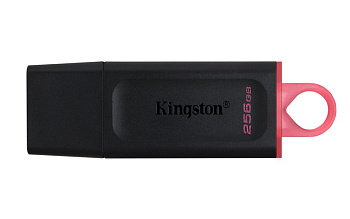 USB флеш-накопитель Kingston 256GB 3.2 (DTXM/256GB)