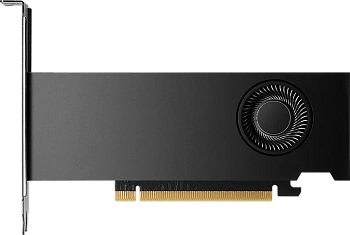 Видеокарта PNY NVIDIA RTX 2000 Ada Generation (VCNRTX2000ADA-SB)