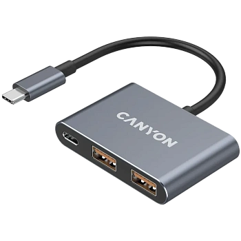 USB-хаб Canyon DS-3 3in1 USB-C Dark Grey (CNS-TDS3)