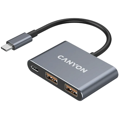 USB-хаб Canyon DS-3 3in1 USB-C Dark Grey (CNS-TDS3)