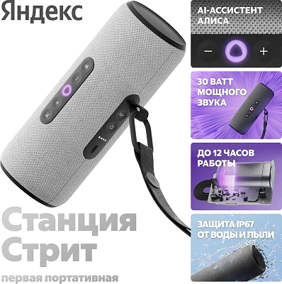 Портативная умная колонка Яндекс Станция Стрит с Алисой, Серый (YNDX-00030GRY)