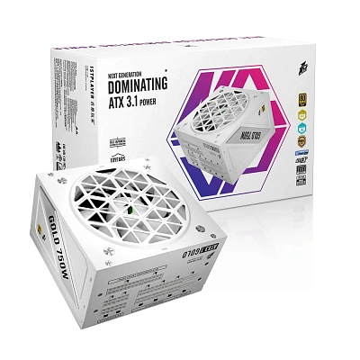 Блок питания ATX 750W 1Stplayer NGDP HA-750BA4 WH, Gold (HA-750BA4 WHITE-EU)