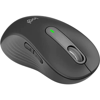 Мышь беспроводная Logitech Signature M650 L Wireless Mouse (910-006239)