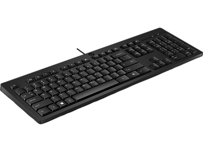 Клавиатура HP 125 USB   (266C9A6)