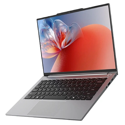 Ноутбук ACER Gadget ERBook Air E10 14 (CWI653)