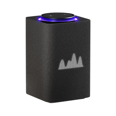 Умная колонка Яндекс.Станция Макс с Zigbee, Графит (YNDX-00053K)