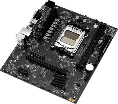 Материнская плата MaxSun Challenger A620A 2.5G (MS-Challenger A620A 2.5G)