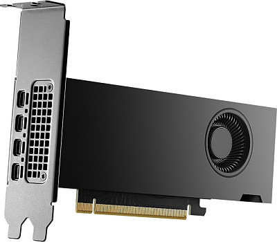 Видеокарта PNY NVIDIA RTX 2000 Ada Generation (VCNRTX2000ADA-SB)