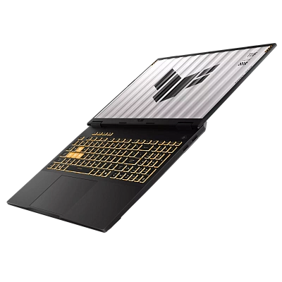 Ноутбук Asus TUF Gaming F16 FX608JMR-RV117 (90NR0NB1-M006V0)