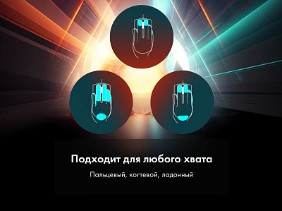Игровая мышь беспроводная Thunderobot ML702 SE, Black (ML702 SE-BK)