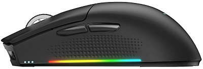 Игровая мышь беспроводная Thunderobot ML901, Black (ML901-BK)