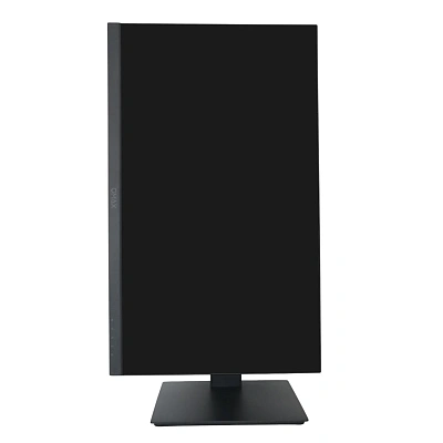 Монитор 23.8" QMAX 24UM50HDMP (24UM50HDMP)