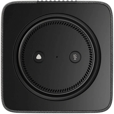 Умная колонка Яндекс.Станция Макс с Zigbee, Графит (YNDX-00053K)
