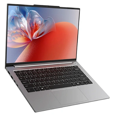 Ноутбук ACER Gadget ERBook Air E10 14 (CWI653)