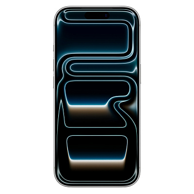 Смартфон iPhone 17 Pro 256GB Silver (MG8G4HX/A)