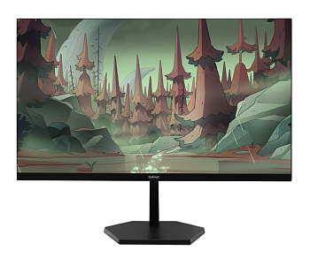  Монитор Sanc M2453FKG 23.8" (M2453FKG)