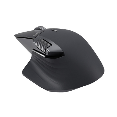 Компьютерная мышь Rapoo MT760L Чёрный (MT760L Black)
