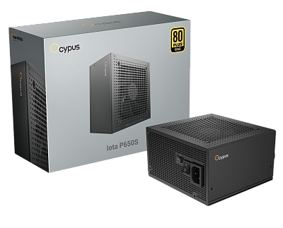 Блок питания Ocypus Iota P650S 650W Full Modular, 80+ GOLD, Черный (Iota-P650S-GFFBK025X-EU)