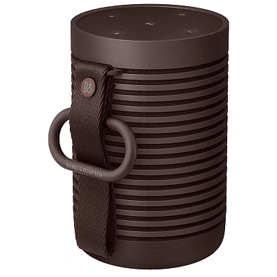 Колонки Bluetooth B&O BeoSound Explore Chestnut (1626005)