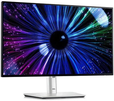 Монитор Dell U2424HE (210-BKJF)