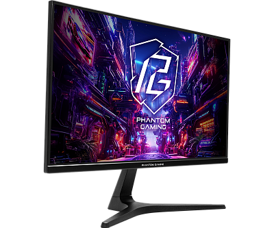 Монитор ASRock PG25FFT 24.5" (PG25FFT)