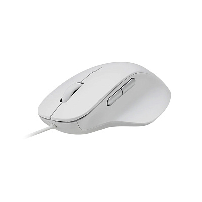 Компьютерная мышь Rapoo N500 Белый (N500 White)