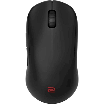 Компьютерная мышь ZOWIE U2 (9H.N4KBE.A2E)
