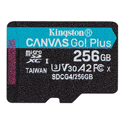 Карта памяти MicroSD, Kingston Canvas Go! 256GB Class 10 (SDCG4/256GB)