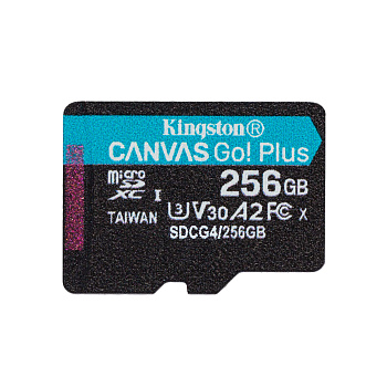 Карта памяти Kingston Canvas Go Plus A2 U3 V30 256GB (SDCG4/256GBSP)