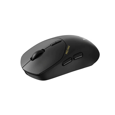 Компьютерная мышь Rapoo VT1 MAX (VT1 MAX)
