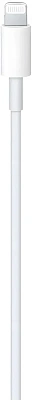 Кабель Apple A2561, Lightning (m) - USB Type-C (m), 1м (MUQ93ZM/A)